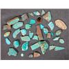 Image 2 : Polished Turquoise, No. 8 Mine of Nevada [194049]