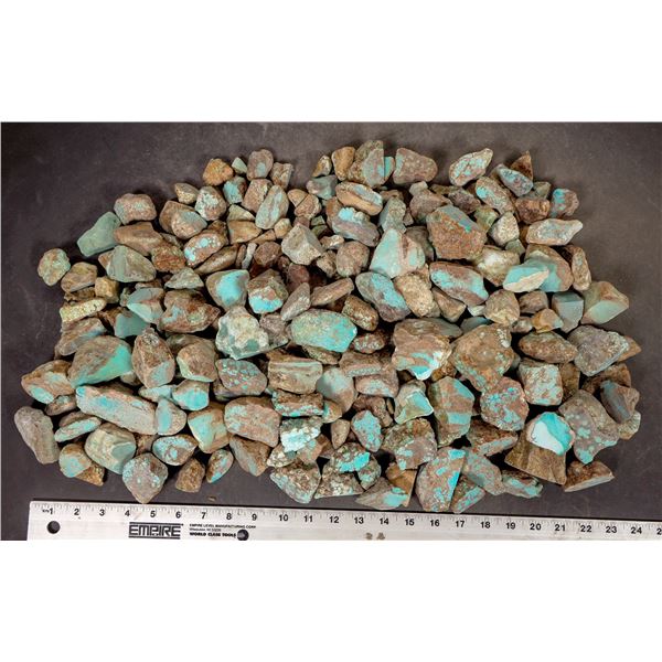 Rough Turquoise, Cut, No. 8 Mine of Nevada [193649]