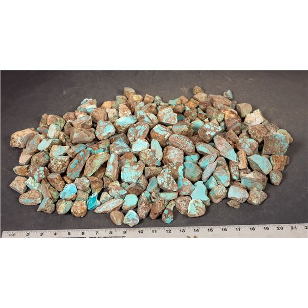 Rough Turquoise, Cut, No. 8 Mine of Nevada [193850]