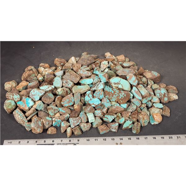 Rough Turquoise, Cut, No. 8 Mine of Nevada [193851]