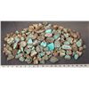 Image 1 : Rough Turquoise, Cut, No. 8 Mine of Nevada [193852]