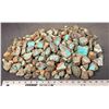 Image 2 : Rough Turquoise, Cut, No. 8 Mine of Nevada [193852]
