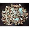 Image 1 : Rough Turquoise, Cut, No. 8 Mine of Nevada [193890]