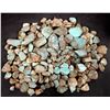 Image 2 : Rough Turquoise, Cut, No. 8 Mine of Nevada [193890]