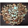 Image 2 : Rough Turquoise, Cut, No. 8 Mine of Nevada [193891]