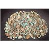 Image 2 : Rough Turquoise, Cut, No. 8 Mine of Nevada [193900]