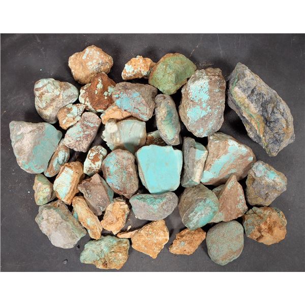 Rough Turquoise, Cut, No. 8 Mine of Nevada [193912]