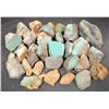 Image 2 : Rough Turquoise, Cut, No. 8 Mine of Nevada [193912]