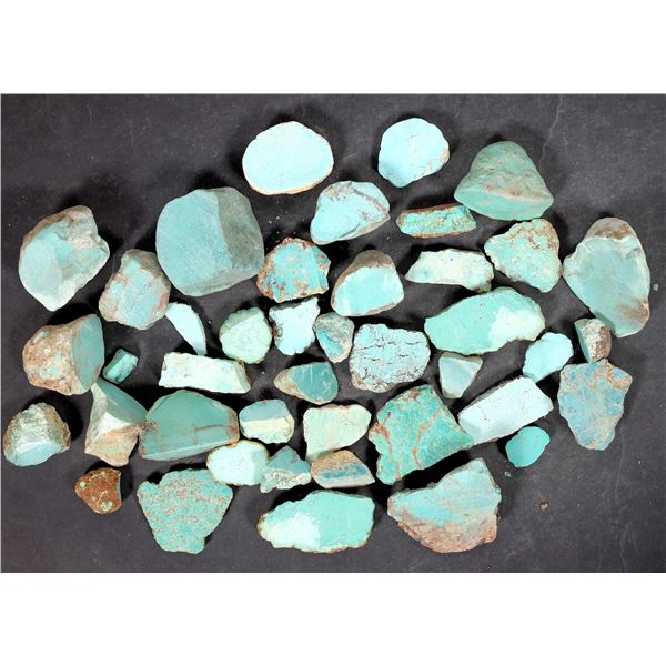 Rough Turquoise, Cut, No. 8 Mine of Nevada [193914]