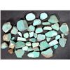 Image 1 : Rough Turquoise, Cut, No. 8 Mine of Nevada [193914]