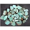 Image 2 : Rough Turquoise, Cut, No. 8 Mine of Nevada [193914]