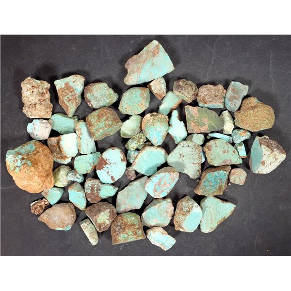 Rough Turquoise, Cut, No. 8 Mine of Nevada [194003]