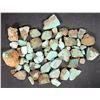 Image 1 : Rough Turquoise, Cut, No. 8 Mine of Nevada [194003]