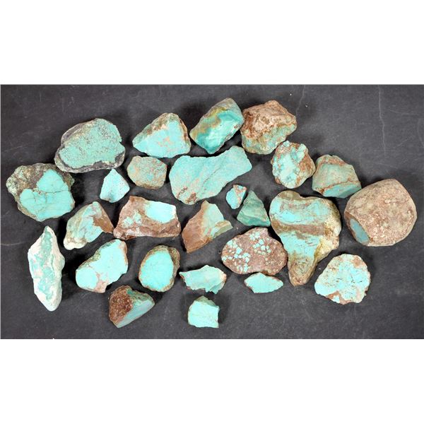 Rough Turquoise, Cut, No. 8 Mine of Nevada [194004]