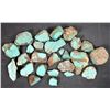 Image 1 : Rough Turquoise, Cut, No. 8 Mine of Nevada [194004]