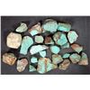 Image 2 : Rough Turquoise, Cut, No. 8 Mine of Nevada [194004]