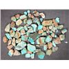 Image 1 : Rough Turquoise, Cut, No. 8 Mine of Nevada [194013]