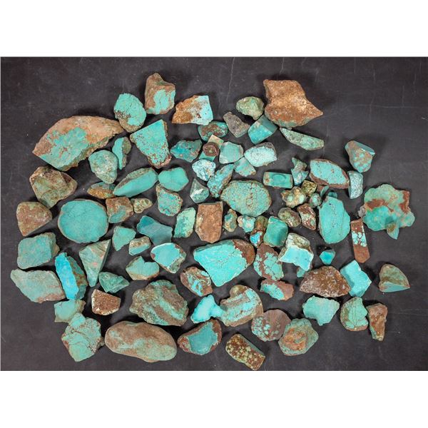 Rough Turquoise, Cut, No. 8 Mine of Nevada [194019]