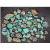 Image 1 : Rough Turquoise, Cut, No. 8 Mine of Nevada [194019]