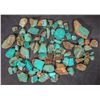 Image 2 : Rough Turquoise, Cut, No. 8 Mine of Nevada [194019]