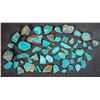 Image 1 : Rough Turquoise, Cut, No. 8 Mine of Nevada [194024]
