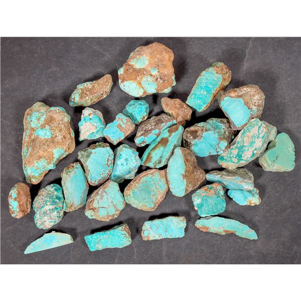 Rough Turquoise, Cut, No. 8 Mine of Nevada [194027]