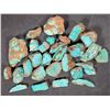 Image 1 : Rough Turquoise, Cut, No. 8 Mine of Nevada [194027]