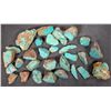 Image 2 : Rough Turquoise, Cut, No. 8 Mine of Nevada [194027]