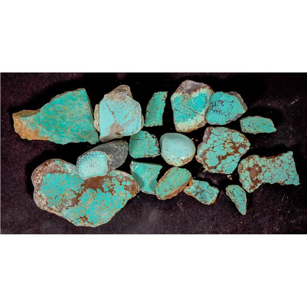 Rough Turquoise, Cut, No. 8 Mine of Nevada [194029]
