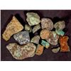 Image 3 : Rough Turquoise, Cut, No. 8 Mine of Nevada [194029]