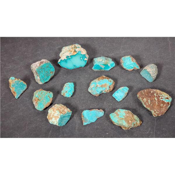 Rough Turquoise, Cut, No. 8 Mine of Nevada [194043]