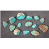 Image 1 : Rough Turquoise, Cut, No. 8 Mine of Nevada [194043]
