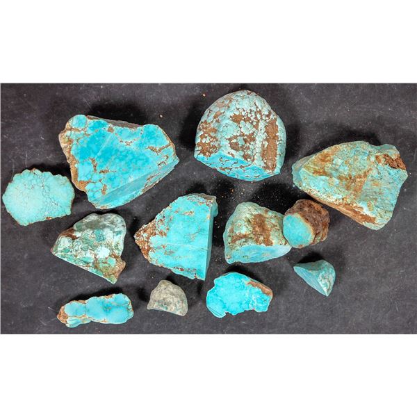 Rough Turquoise, Cut, No. 8 Mine of Nevada [194045]