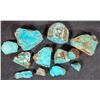 Image 1 : Rough Turquoise, Cut, No. 8 Mine of Nevada [194045]