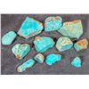 Image 2 : Rough Turquoise, Cut, No. 8 Mine of Nevada [194045]