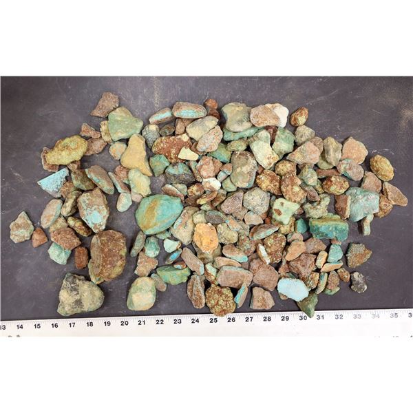 Rough Turquoise, No. 8 Mine of Nevada [193637]