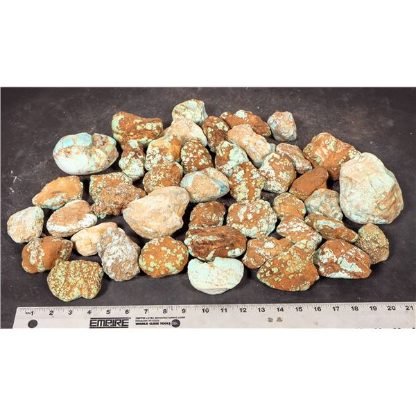 Rough Turquoise, No. 8 Mine of Nevada [193832]