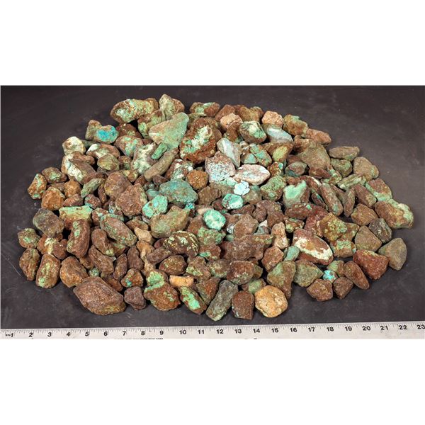 Rough Turquoise, No. 8 Mine of Nevada [193834]