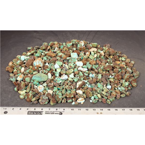 Rough Turquoise, No. 8 Mine of Nevada [193857]