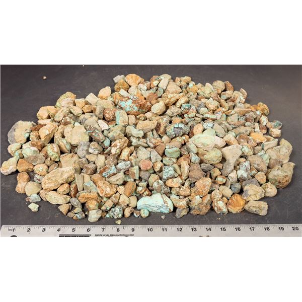 Rough Turquoise, No. 8 Mine of Nevada [193896]