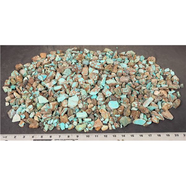 Rough Turquoise, No. 8 Mine of Nevada [193902]
