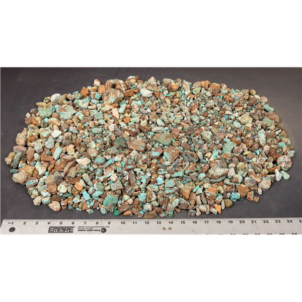 Rough Turquoise, No. 8 Mine of Nevada [193903]