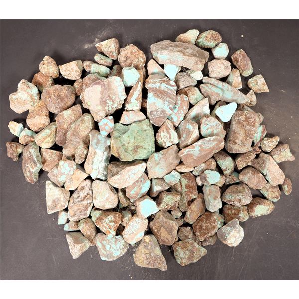 Rough Turquoise, No. 8 Mine of Nevada [193904]