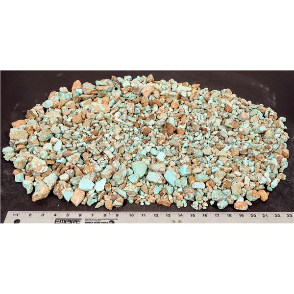 Rough Turquoise, No. 8 Mine of Nevada [193905]