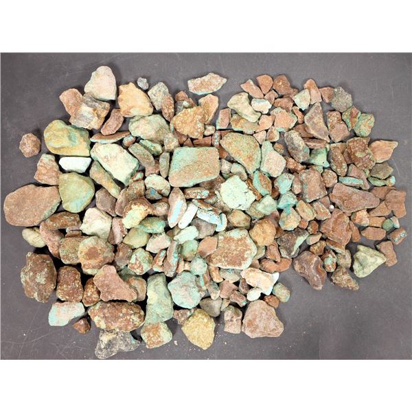 Rough Turquoise, No. 8 Mine of Nevada [193918]