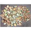 Image 1 : Rough Turquoise, No. 8 Mine of Nevada [193918]