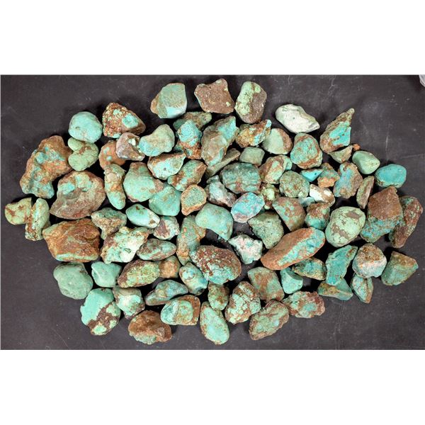 Rough Turquoise, No. 8 Mine of Nevada [194006]