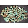 Image 1 : Rough Turquoise, No. 8 Mine of Nevada [194006]