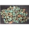 Image 2 : Rough Turquoise, No. 8 Mine of Nevada [194006]