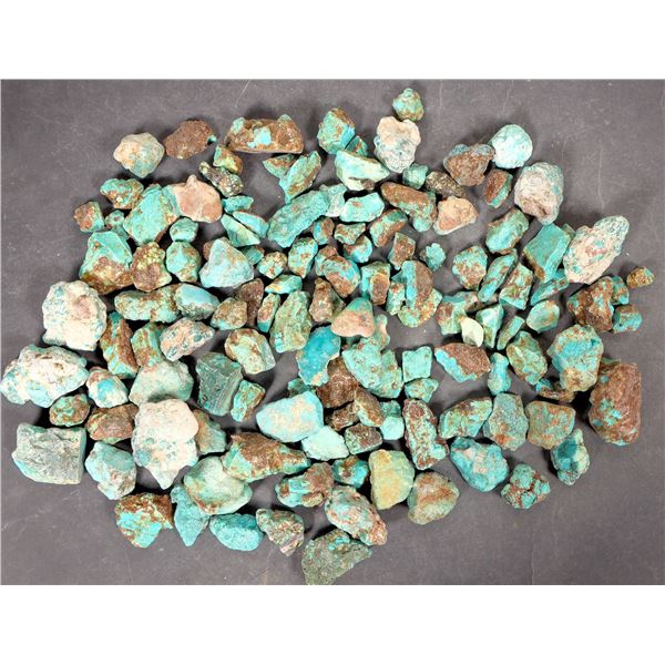 Rough Turquoise, No. 8 Mine of Nevada [194007]